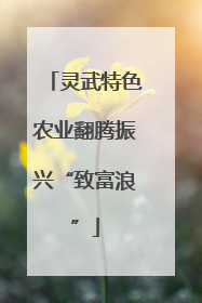 灵武特色农业翻腾振兴“致富浪”