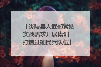 炎陵县人武部紧贴实战需求开展集训 打造过硬民兵队伍