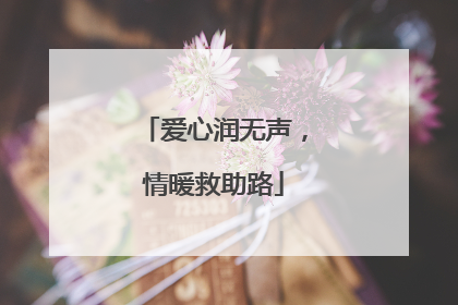爱心润无声，情暖救助路
