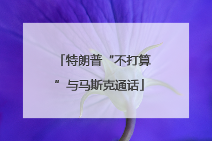 特朗普“不打算”与马斯克通话