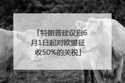 特朗普建议自6月1日起对欧盟征收50%的关税