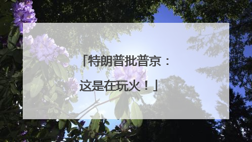 特朗普批普京：这是在玩火！