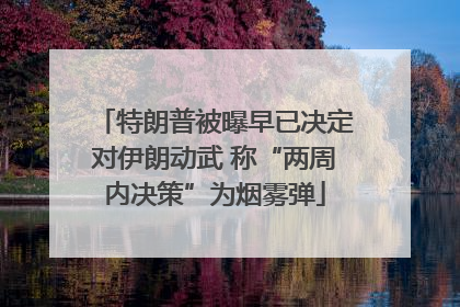 特朗普被曝早已决定对伊朗动武 称“两周内决策”为烟雾弹
