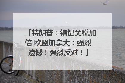 特朗普：钢铝关税加倍 欧盟加拿大：强烈遗憾！强烈反对！