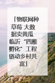 物联网种草莓 大数据卖黄瓜 临沂“四雁孵化”工程链动乡村共富