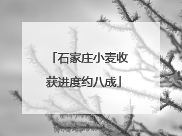 石家庄小麦收获进度约八成