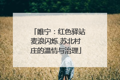 睢宁：红色驿站麦浪闪烁 苏北村庄的温情与治理