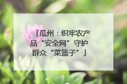 瓜州：织牢农产品“安全网”守护群众“菜篮子”