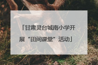 甘肃灵台城南小学开展“田间课堂”活动