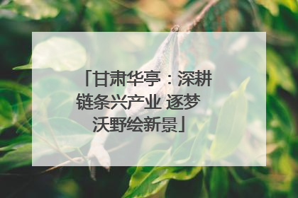 甘肃华亭：深耕链条兴产业 逐梦沃野绘新景