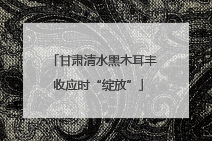 甘肃清水黑木耳丰收应时“绽放”