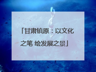 甘肃镇原：以文化之笔 绘发展之景