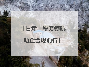 甘肃：税务领航 助企合规前行