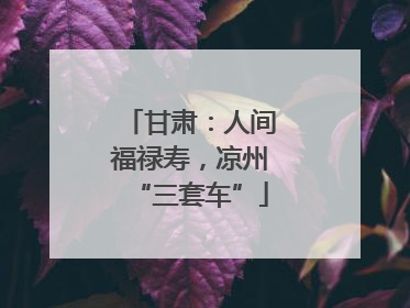 甘肃：人间福禄寿，凉州“三套车”