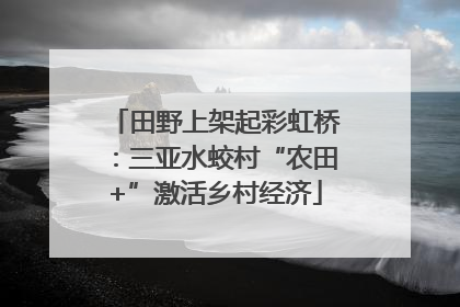 田野上架起彩虹桥：三亚水蛟村“农田+”激活乡村经济