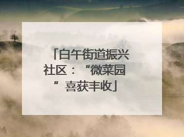 白午街道振兴社区：“微菜园”喜获丰收