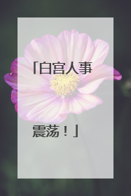 白宫人事震荡！
