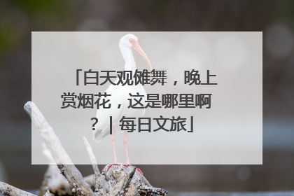 白天观傩舞，晚上赏烟花，这是哪里啊？｜每日文旅