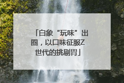 白象“玩味”出圈，以口味征服Z世代的挑剔胃