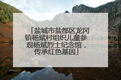 盐城市盐都区龙冈镇杨斌村组织儿童参观杨斌烈士纪念馆，传承红色基因