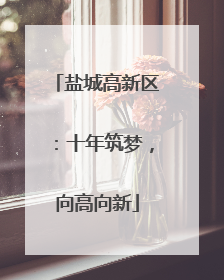 盐城高新区：十年筑梦，向高向新