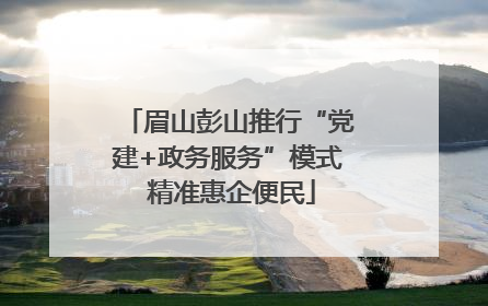 眉山彭山推行“党建+政务服务”模式 精准惠企便民