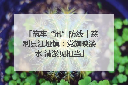 筑牢“汛”防线｜慈利县江垭镇：党旗映溇水 清淤见担当