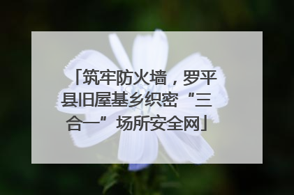 筑牢防火墙，罗平县旧屋基乡织密“三合一”场所安全网
