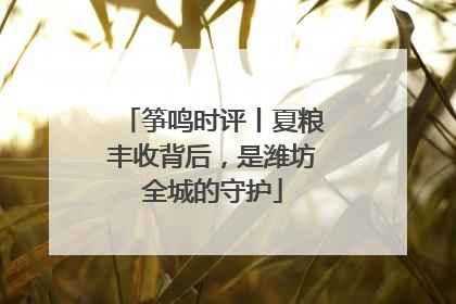 筝鸣时评丨夏粮丰收背后，是潍坊全城的守护