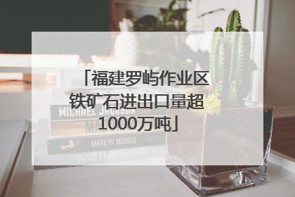 福建罗屿作业区铁矿石进出口量超1000万吨