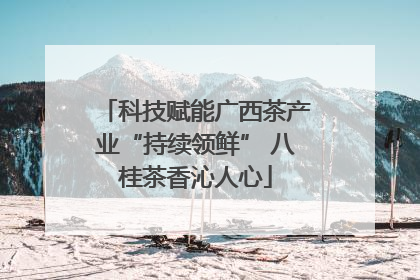 科技赋能广西茶产业“持续领鲜” 八桂茶香沁人心