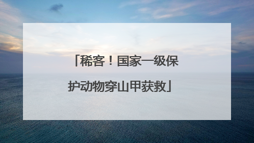 稀客！国家一级保护动物穿山甲获救