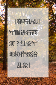 穿着仿制军服进行商演？红安军地协作整治乱象