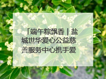 端午粽飘香｜盐城世华爱心公益慈善服务中心携手爱心企业发起情暖“城市守护者”慰问活动