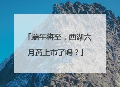 端午将至，西湖六月黄上市了吗？