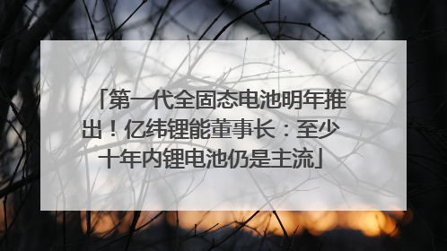 第一代全固态电池明年推出！亿纬锂能董事长：至少十年内锂电池仍是主流