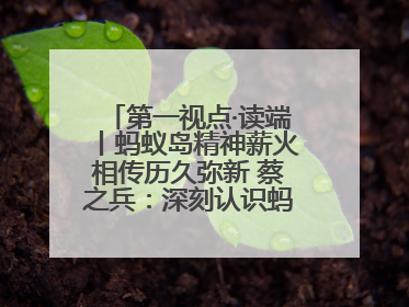 第一视点·读端丨蚂蚁岛精神薪火相传历久弥新 蔡之兵：深刻认识蚂蚁岛精神的“精气神”