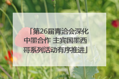 第26届青洽会深化中墨合作 主宾国墨西哥系列活动有序推进