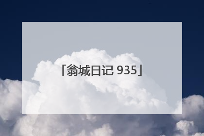 翁城日记 935