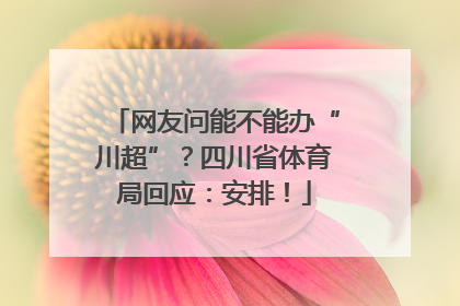 网友问能不能办“川超”？四川省体育局回应：安排！
