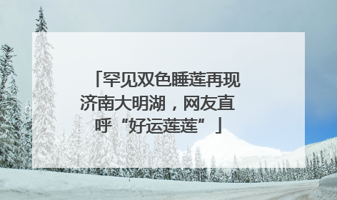 罕见双色睡莲再现济南大明湖，网友直呼“好运莲莲”