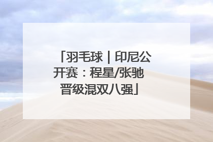 羽毛球｜印尼公开赛：程星/张驰晋级混双八强