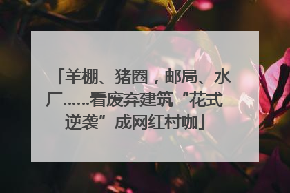 羊棚、猪圈，邮局、水厂……看废弃建筑“花式逆袭”成网红村咖