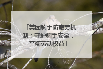 美团骑手防疲劳机制：守护骑手安全，平衡劳动权益