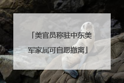 美官员称驻中东美军家属可自愿撤离