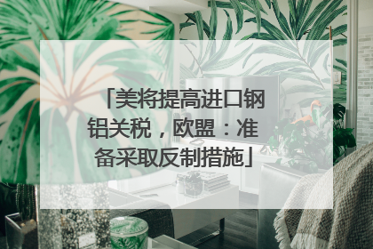 美将提高进口钢铝关税，欧盟：准备采取反制措施