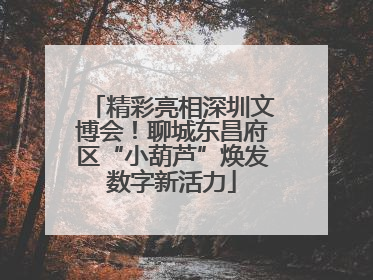 精彩亮相深圳文博会！聊城东昌府区“小葫芦”焕发数字新活力