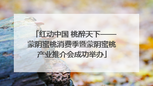 红动中国 桃醉天下——蒙阴蜜桃消费季暨蒙阴蜜桃产业推介会成功举办