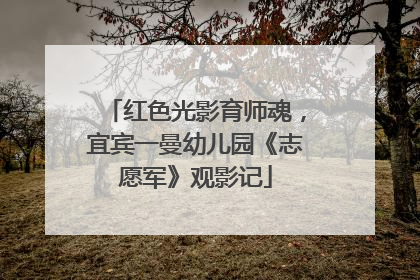 红色光影育师魂，宜宾一曼幼儿园《志愿军》观影记