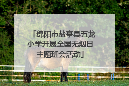 绵阳市盐亭县五龙小学开展全国无烟日主题班会活动